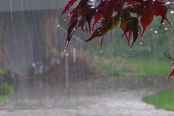 بارندگی در بعضی استان ها، از فردا