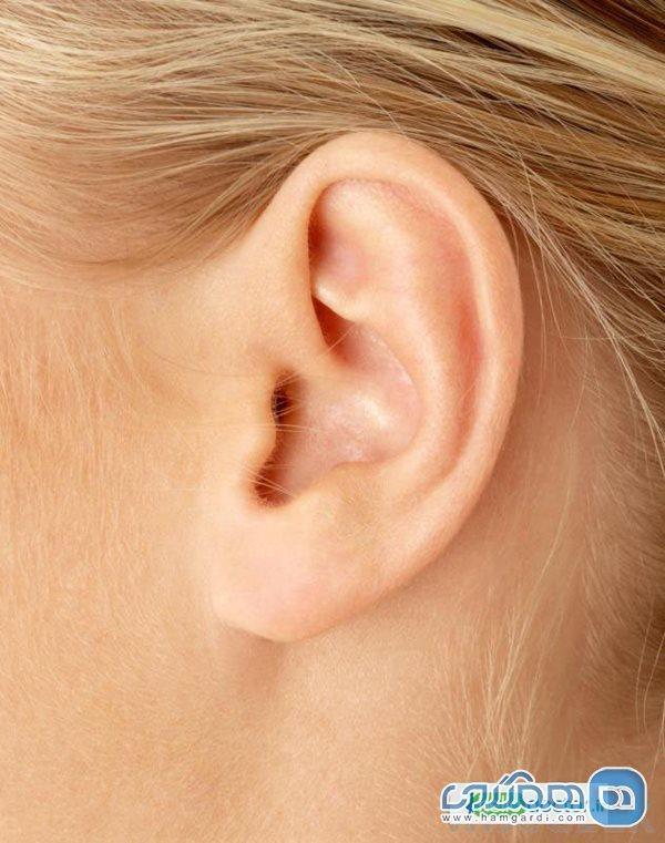 چرا گوشمان پوسته پوسته می گردد؟