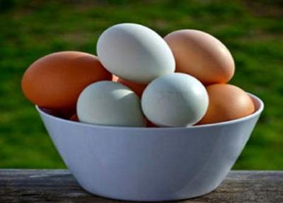 چطور بفهمیم تخم مرغ فاسد شده است؟