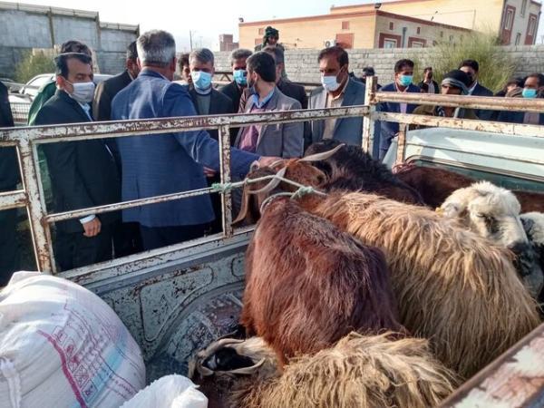 200 رأس دام بین خسارت دیدگان سیل منوجان توزیع شد 200 رأس دام بین خسارت دیدگان سیل منوجان توزیع شد