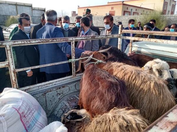 200 رأس دام بین خسارت دیدگان سیل منوجان توزیع شد